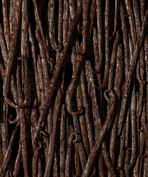 Kaveri Vanilla