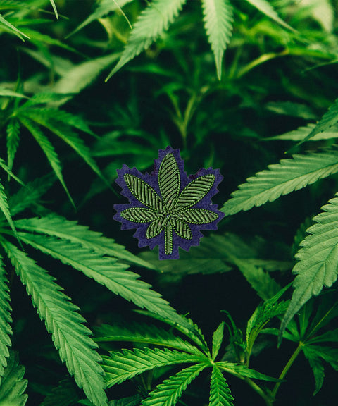 Cannabis Leaf Pin
