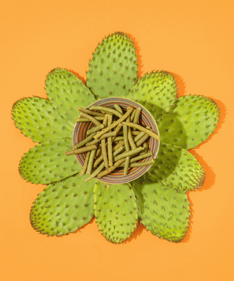Chili Turmeric Cactus Sticks