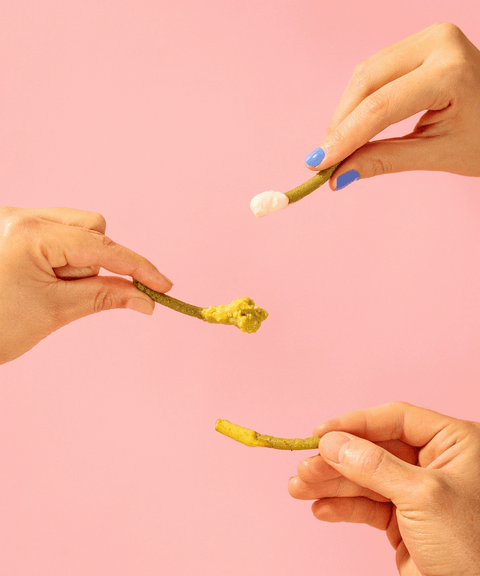 Smoky Chipotle Cactus Sticks