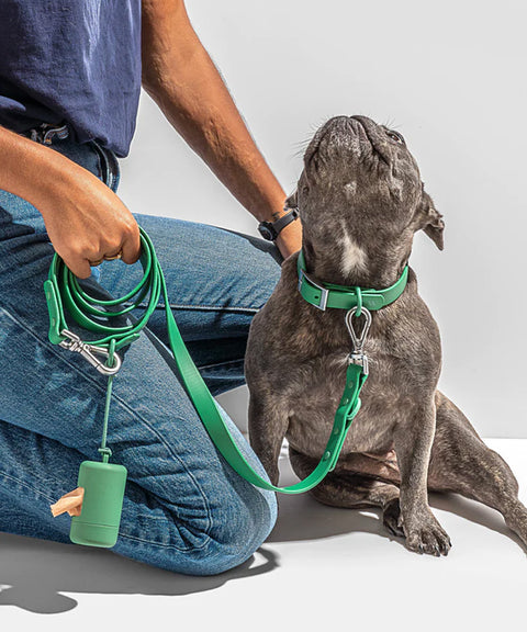 Poop Bag Carrier