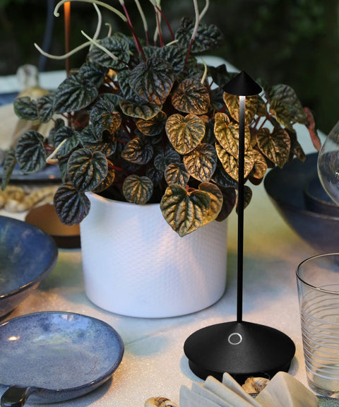Pina Pro Lamp: Rust