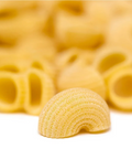 Close-up of uncooked lumache rigate pasta on a white background.