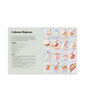 A recipe card for Calzone Ripieno, featuring an ingredients list, preparation instructions, and a 16-step visual guide showing the dough, filling, and folded calzone.